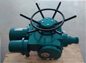 是事实上是是是是是是是